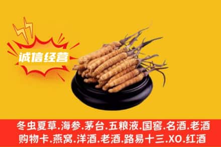 渭南市蒲城回收冬虫夏草